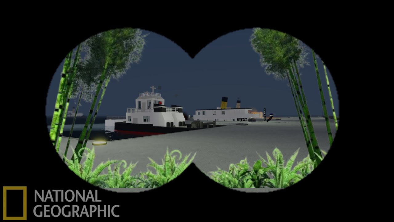 5 types of SaSS players - National SaSSGraphic