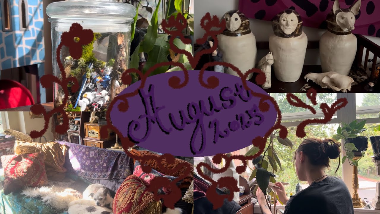 August 2025 - my boring little life - plant care, terrarium making, and many cats