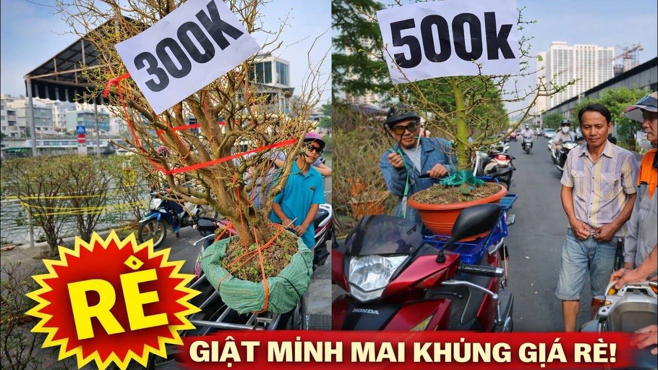 Tin Được Không Chợ Hoa Xuân 2026 Bên Bình Đông Giá Rẻ Bất Ngờ Ai Cũng Vui Vẻ Giàu Nghèo đều có Hoa