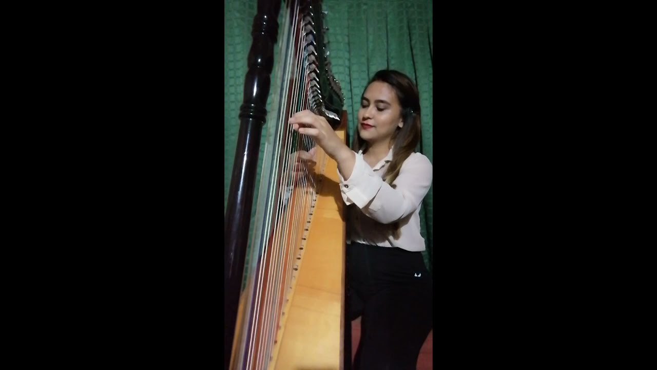 Mariage d'Amour/ Matrimonio de amor - Richard Clayderman. Harp/arpa