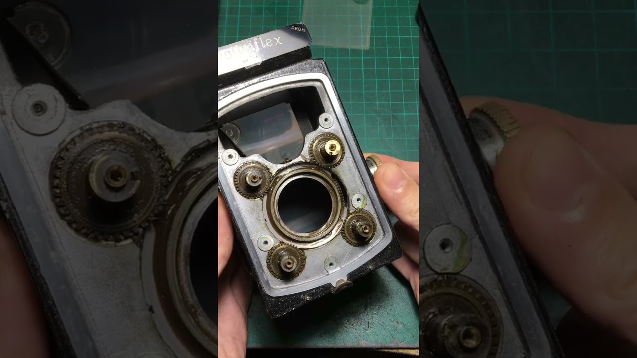 Rolleiflex Standard