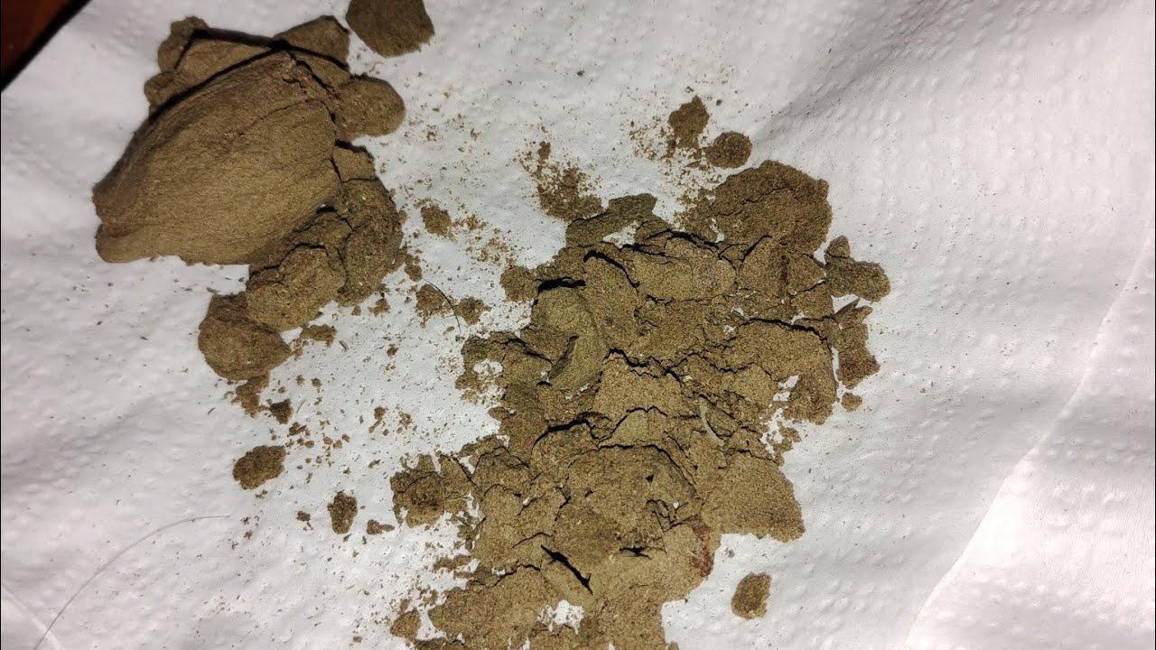How to make bubble hash useing outdoor at home with ice water 🌿🍶