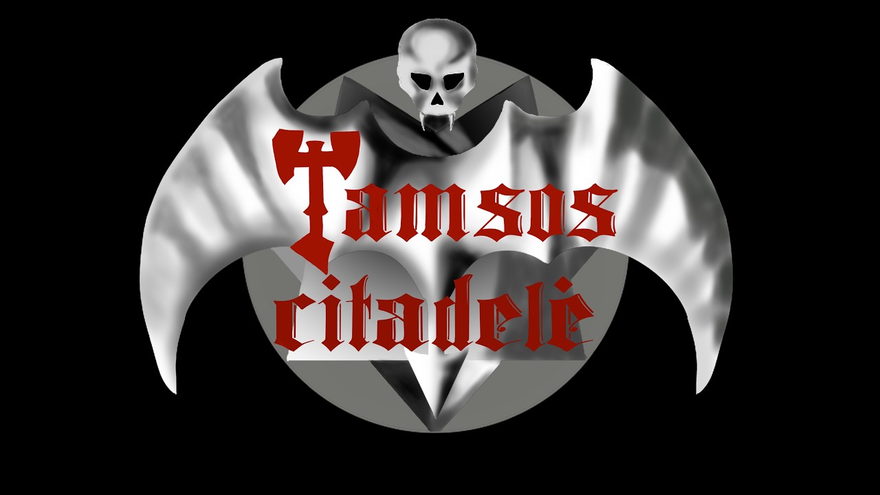 TAMSOS CITADELĖ live (Kaunas, klubas 
