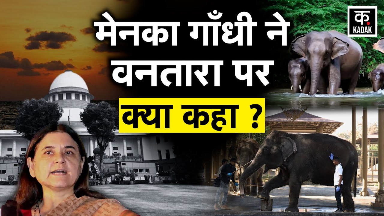 Supreme Court on Vantara: सुनिए Maneka Gandhi ने Vantara को लेकर क्या कुछ कहा? | KADAK