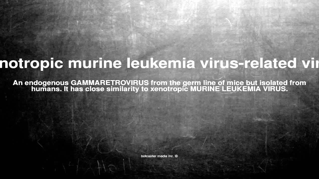Medical vocabulary: What does Xenotropic murine leukemia virus-related virus mean