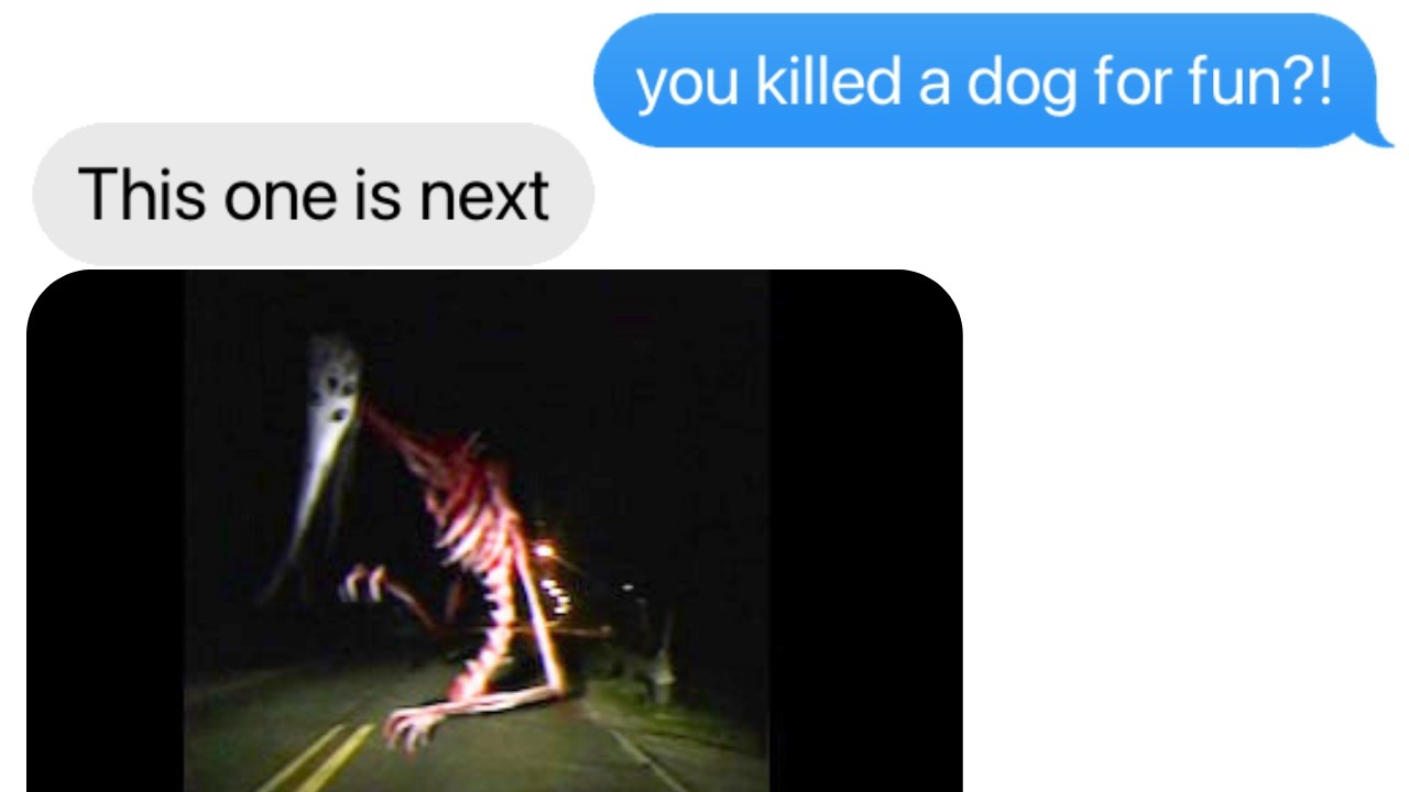 The Dog Killer vs God of Roadkill