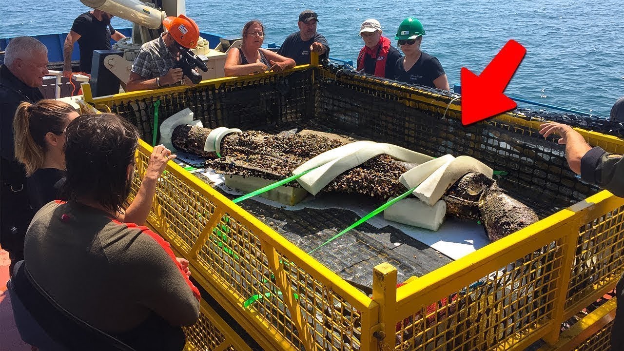 Fishermen Captured What No One Was Supposed to See...