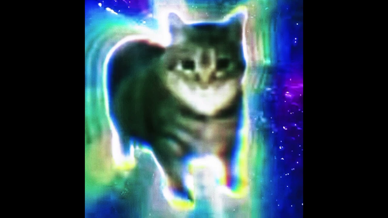Oiia Cat (Slow+reverb) |FULL VERSION
