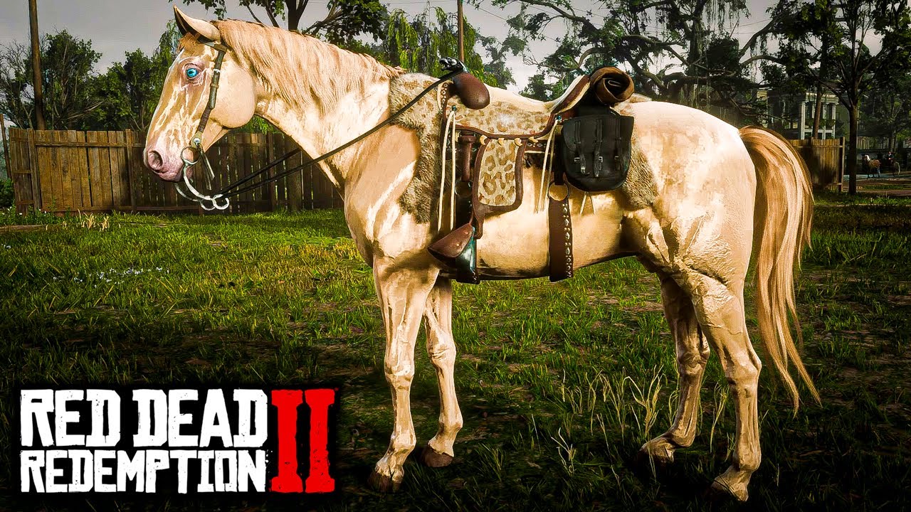 91% DOS JOGADORES PERDEM ESSE CAVALO:WARMBLOODS HOLANDÊSES(O COMPÊNDIO pt.8) - RED DEAD REDEMPTION 2