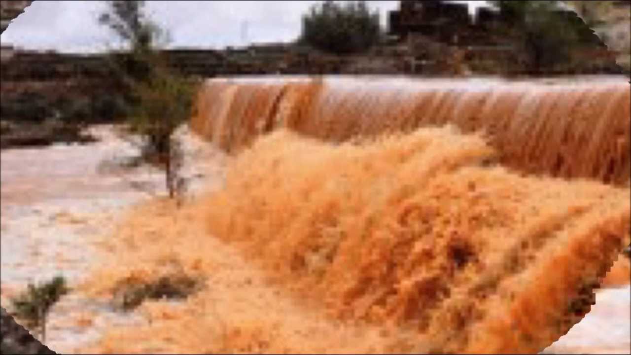 صور من قرية ال بلحي