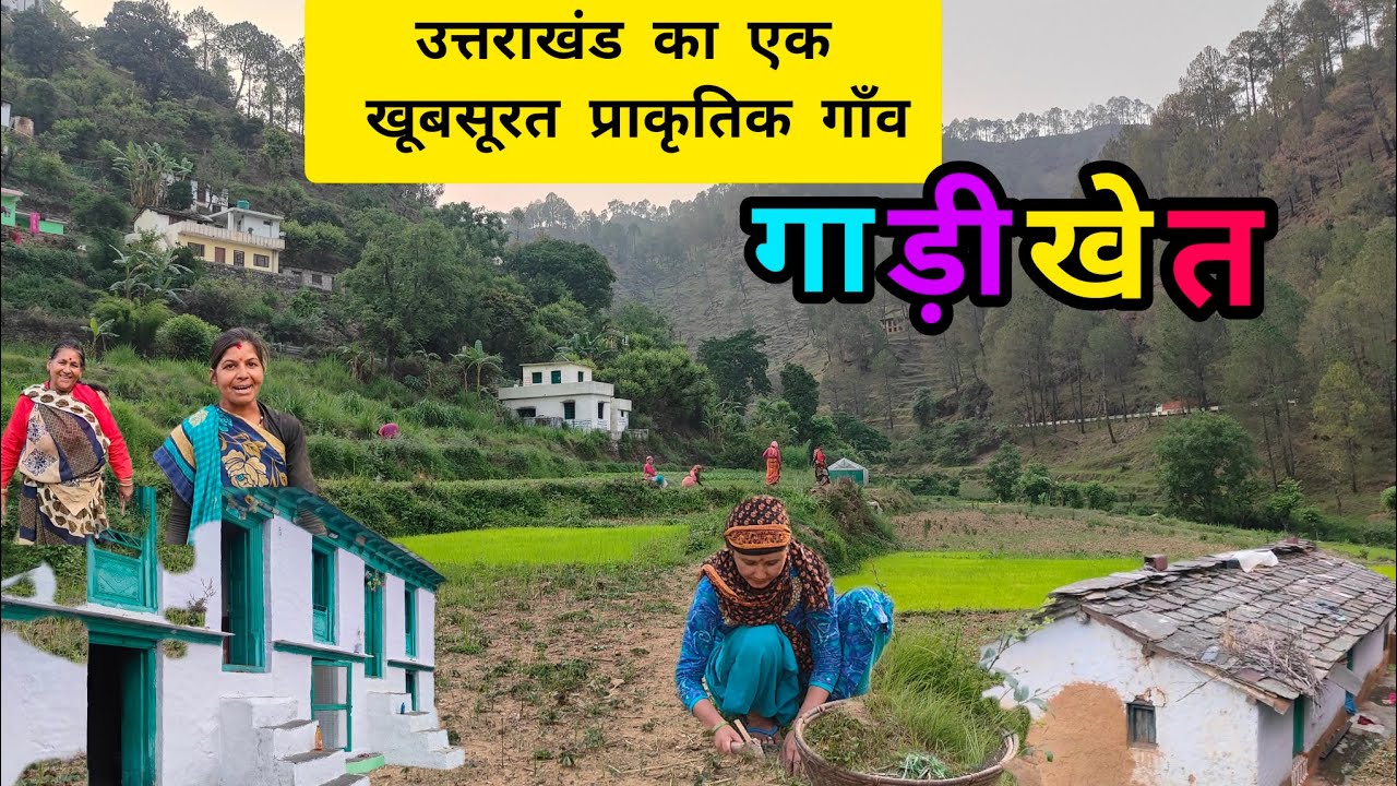 उत्तराखंड का एक प्राकृतिक गाँव- गाड़ीखेत#uttrakhandculture #pahadicultue #bageshwar