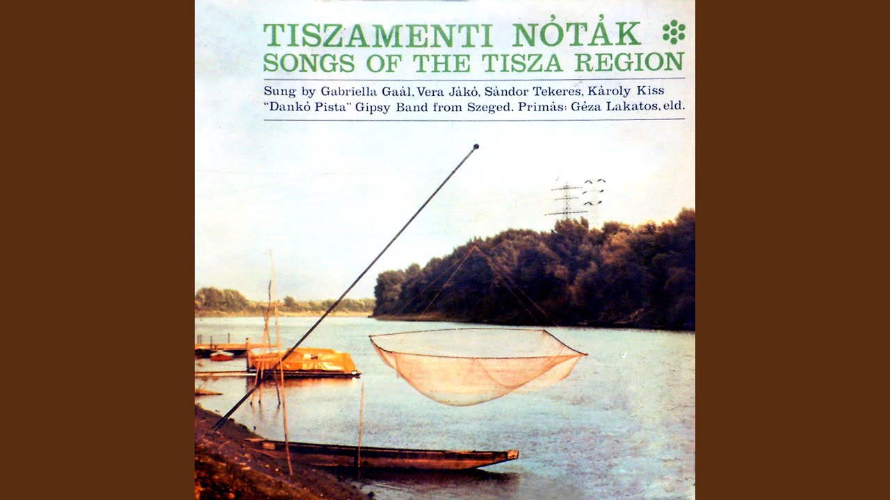 A holdf&eacute;nyes Tisza partj&aacute;n