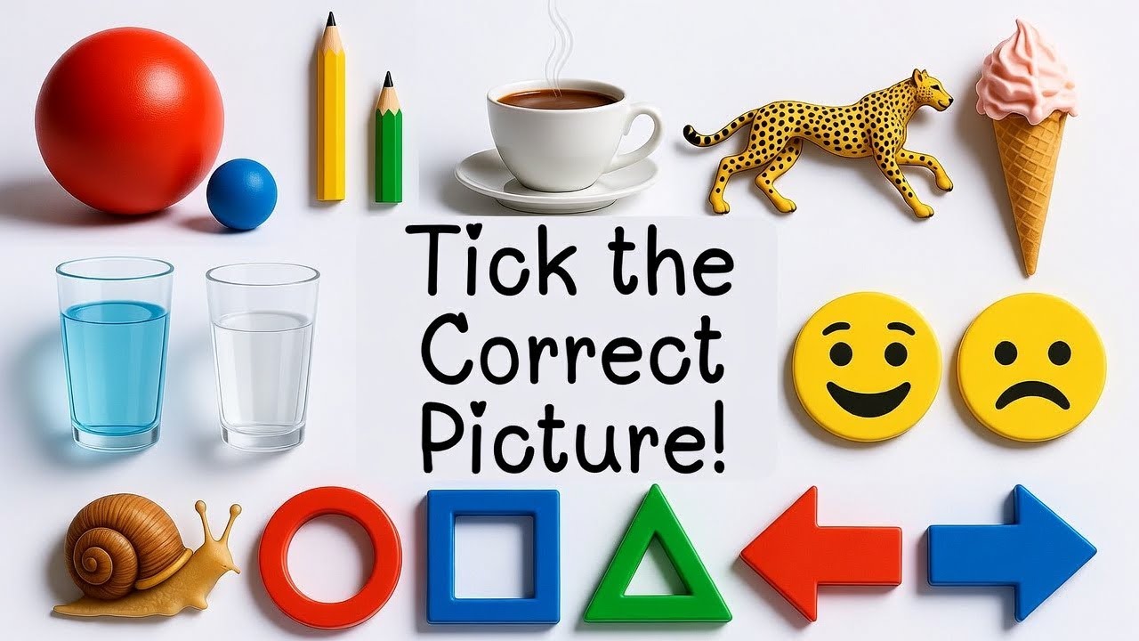 Tick the Correct Picture! | Opposites & Concepts Learning for Nursery Kids | Kids Video 
