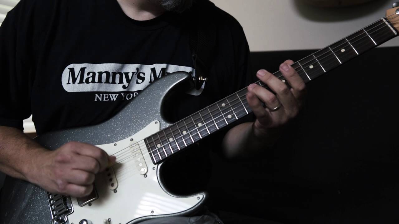 Friedman Smallbox Wildwood Edition - Anderson Strat