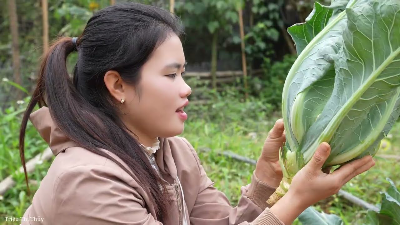 How to Cook Simple Meal After Hard Day - Harvesting Long Pumpkins and Cauliflower to Sell at Market