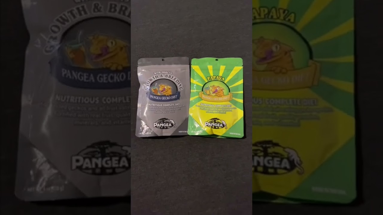 Pangea gecko diet arrives in the mail
