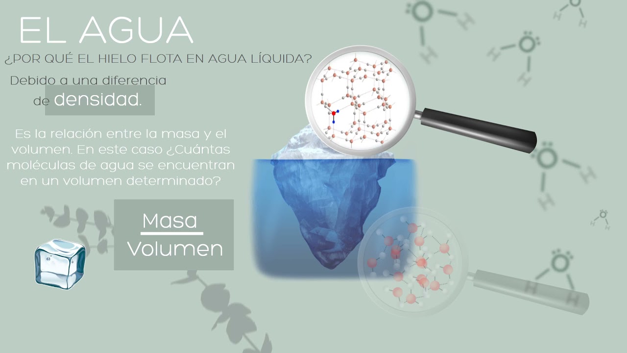 El Agua y sus propiedades