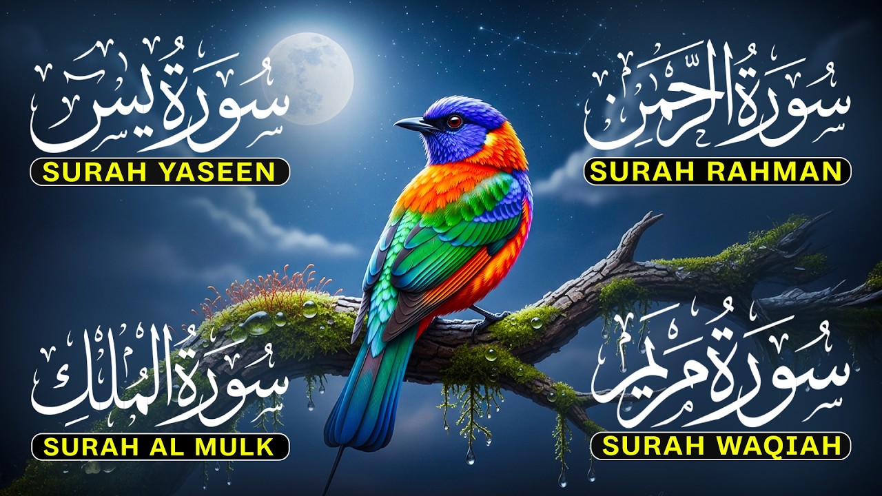 The Most Beautiful Qur’an Surah Yaseen, Surah Rahman, Surah Waqiah, Surah Mulk by Alaa Aqel - EP24