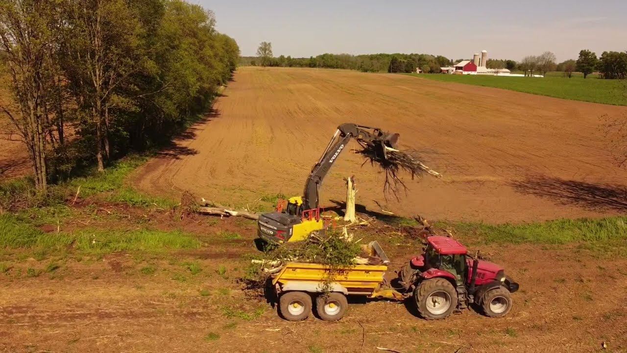 Dairy farm clean up! Cleaning up fence rows!