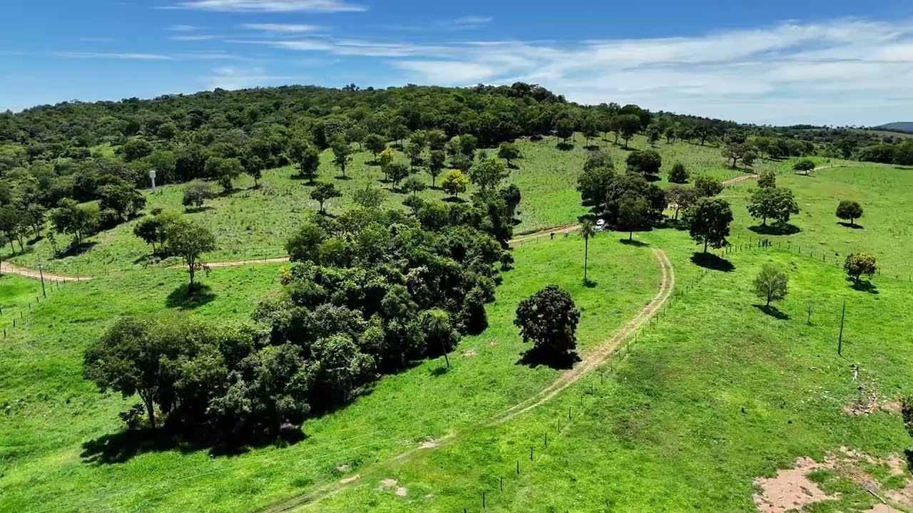21 alqueires, município de Pontalina GO R$3.200.000