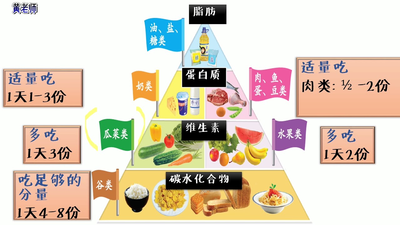 四年级健康教育 食物金字塔pg 100