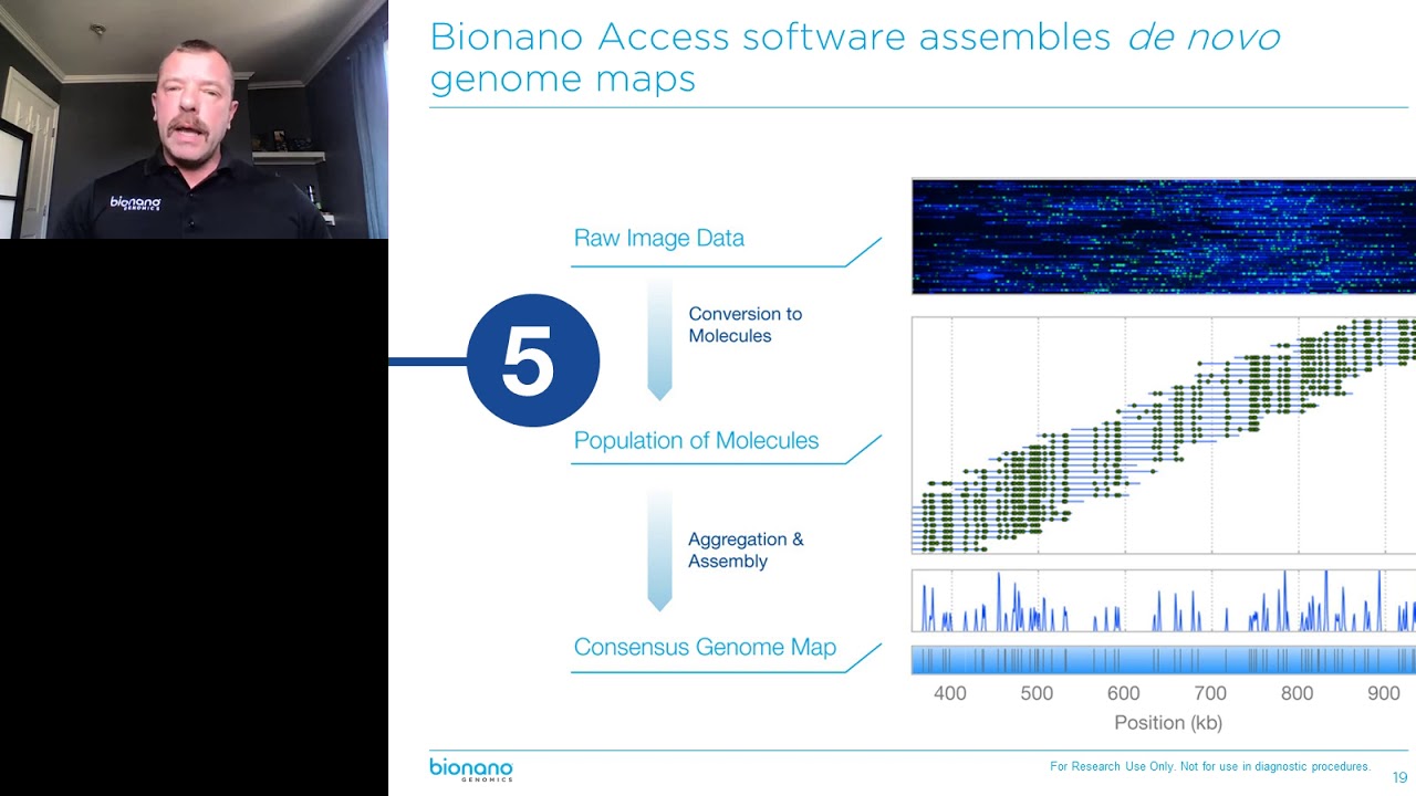 Bionano Genome Imaging