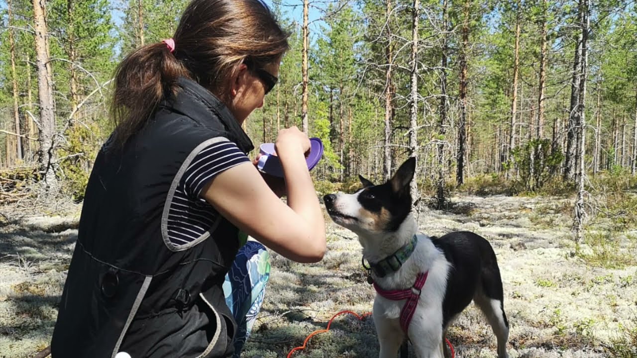 Jälkiviikon vinkki: mikä ihmeen jälki?