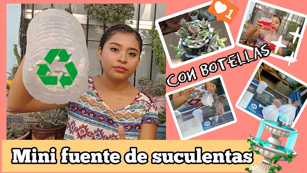 Mini fuente de suculentas con botellas de plástico 😉