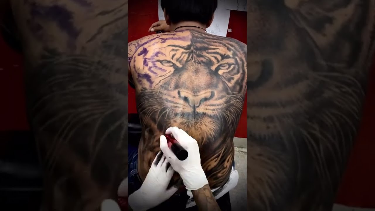 @payaktattoo7470   Tiger Tattoo full back สักลาย เสือ เต็มหลัง