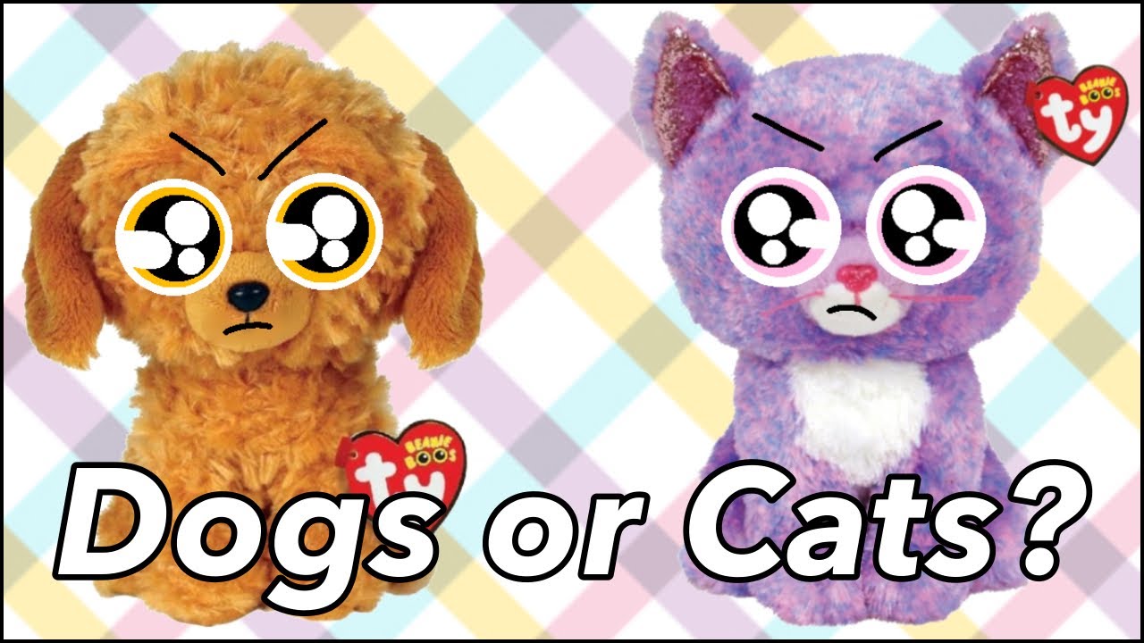 Beanie boo skit: Are dogs or cats better?