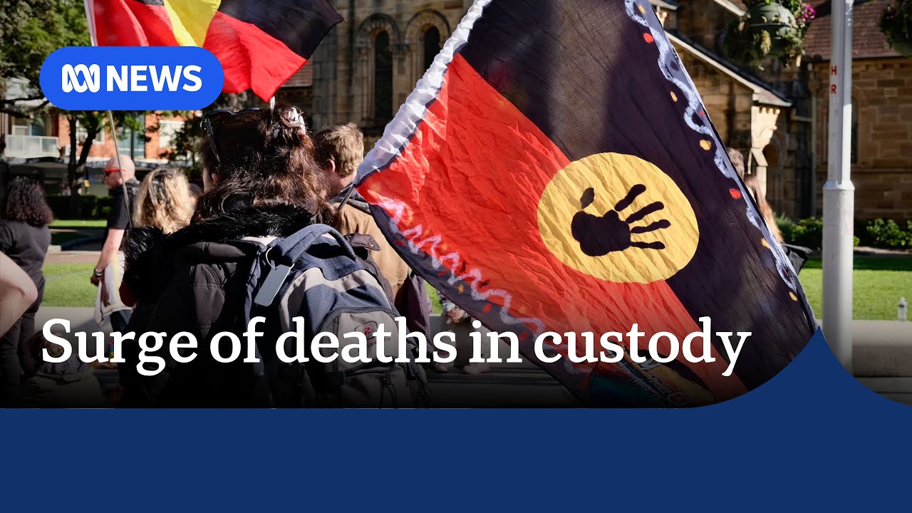 NSW records highest number of Indigenous deaths in custody within a year | ABC NEWS