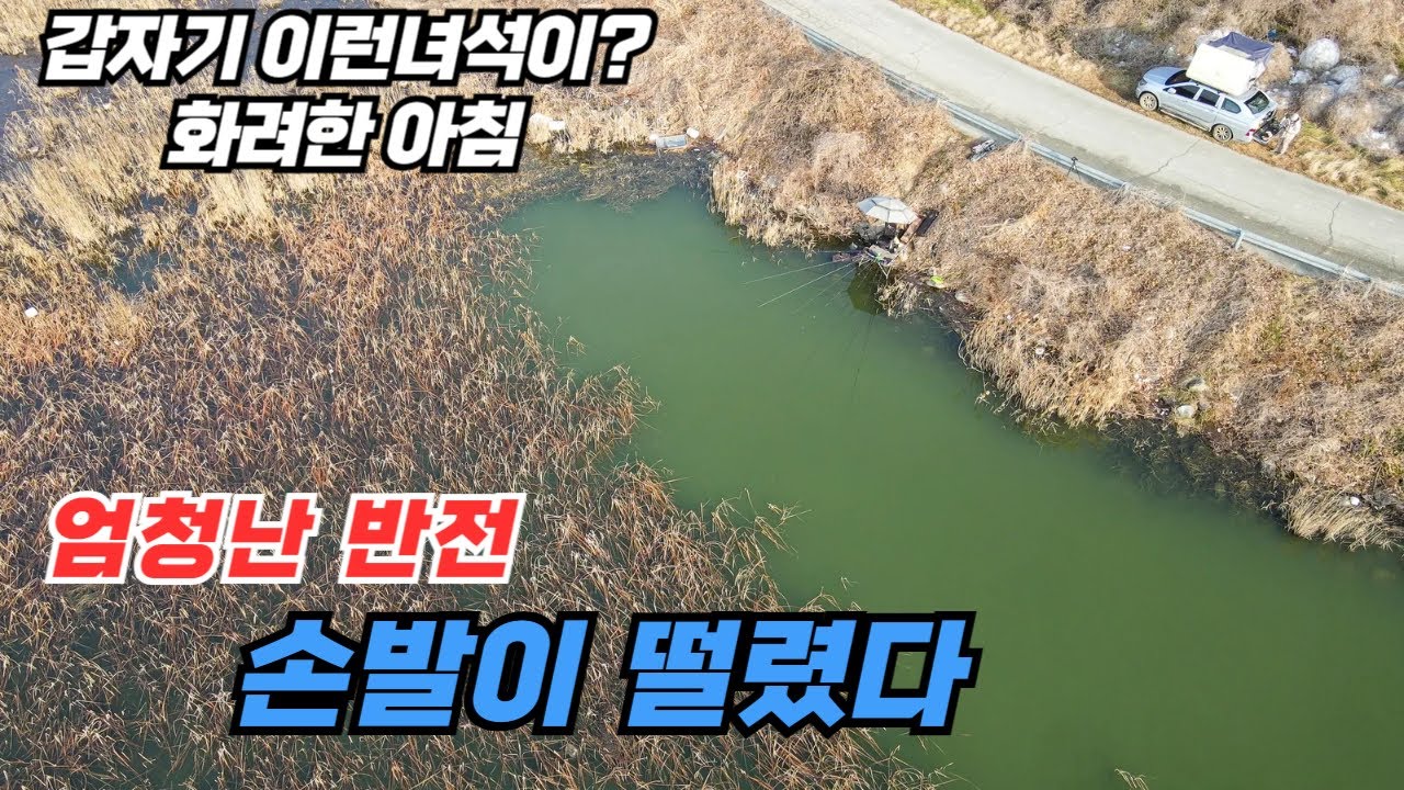 겨울을 찢어버린 화려한 아침