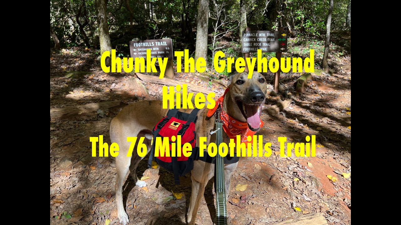 Greyhound Hikes 76 mile Foothills Trail