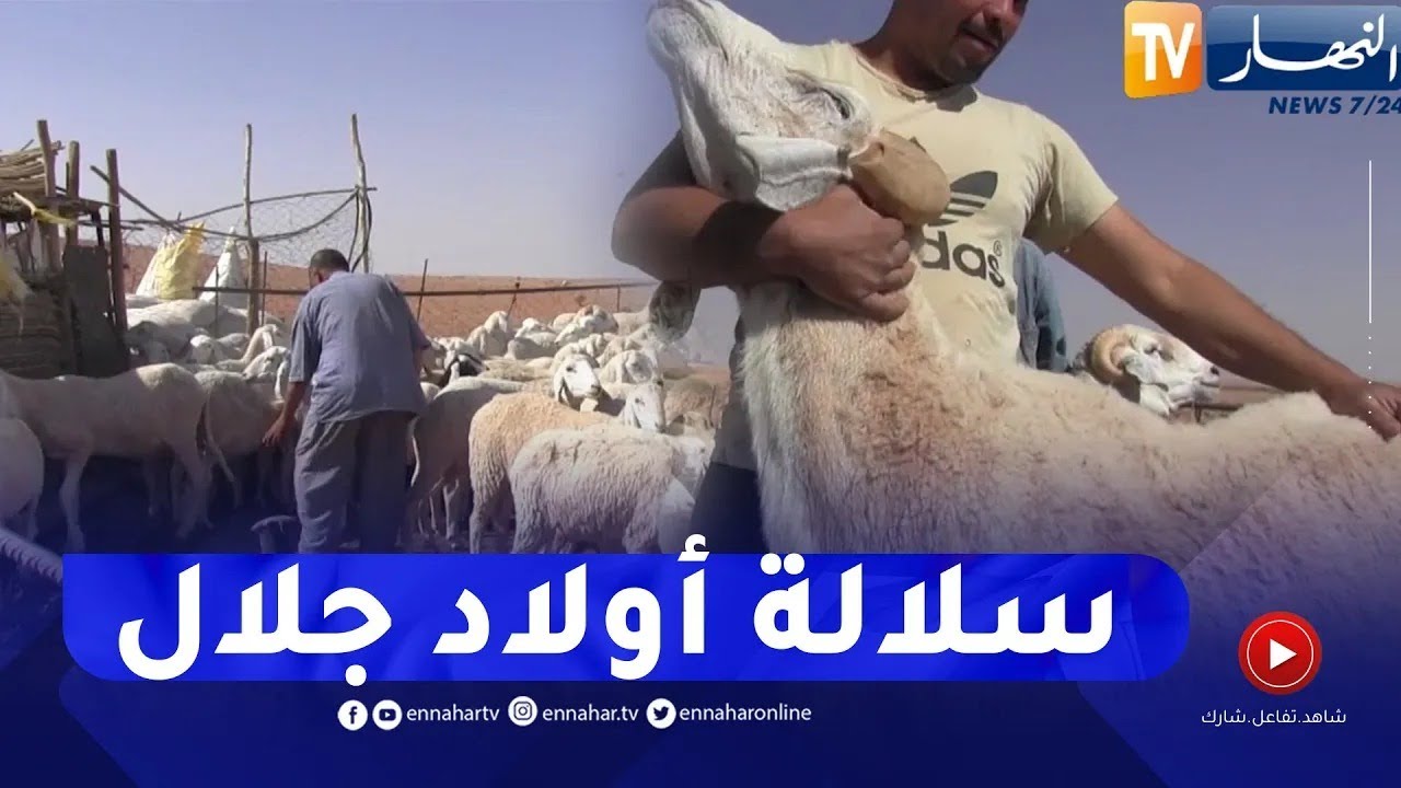 سلالة 
