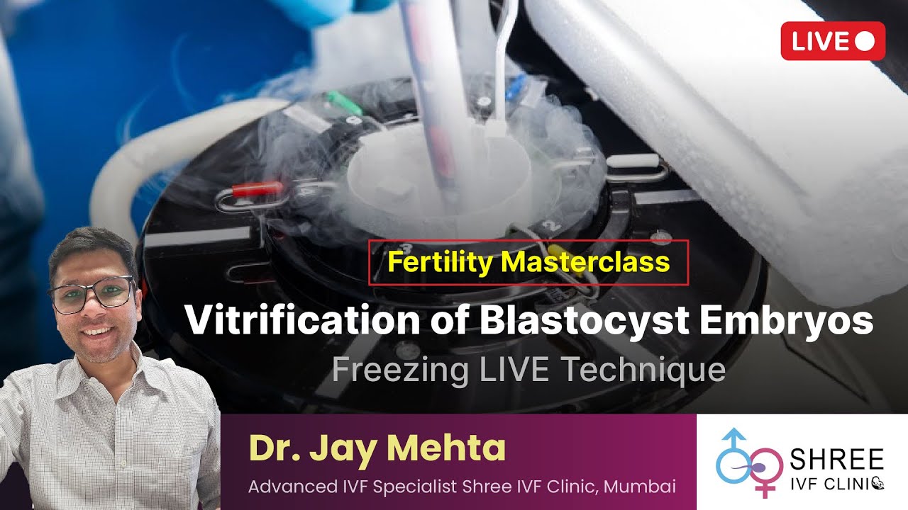 Fertility Masterclass 73: Vitrification of Blastocyst Embryos (Freezing LIVE Technique)