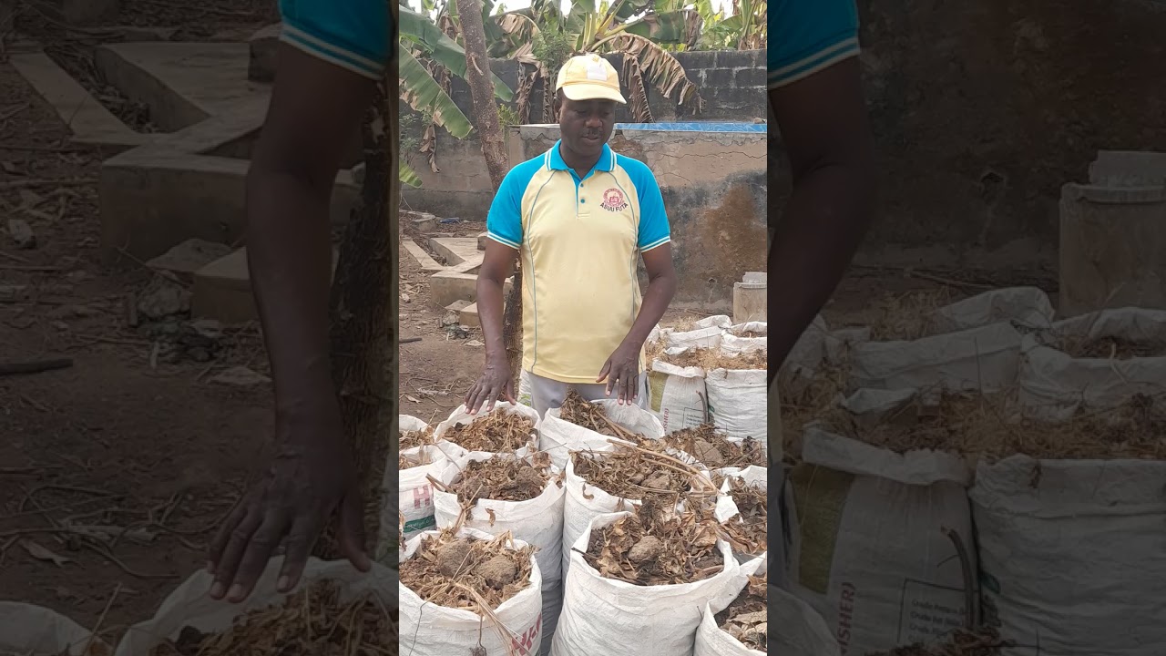 @Inubaye, the response on early yam planting.