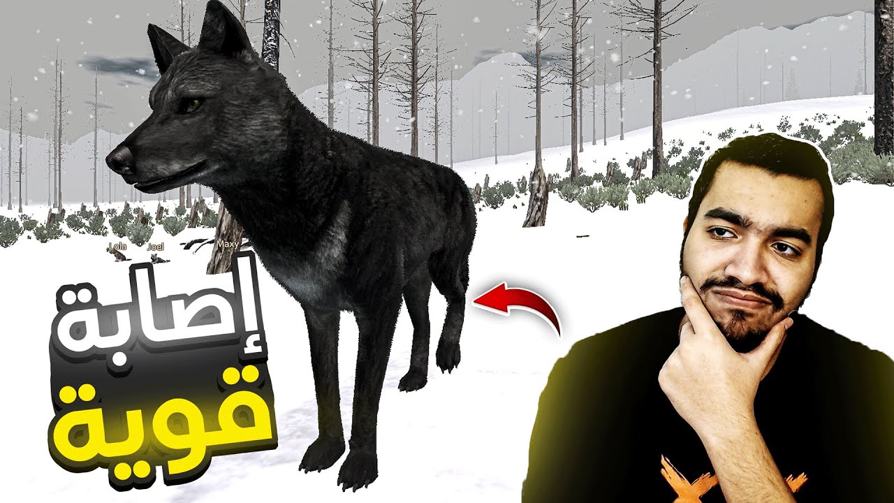 حياة الذيب #3 : مواجهة صعوبات البقاء على قيد الحياة WolfQuest: Anniversary Edition