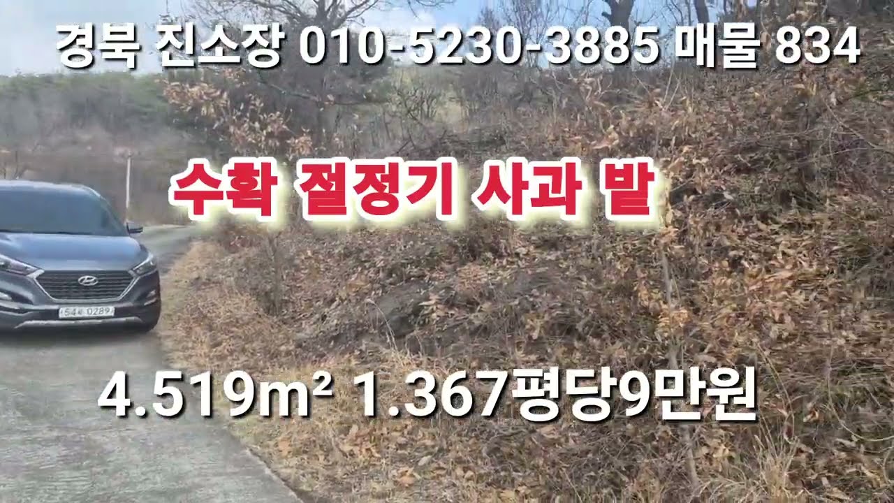 매물 834 #진소장 부동산 #의성부동산 #군위부동산 #안동부동산 #의성 땅 