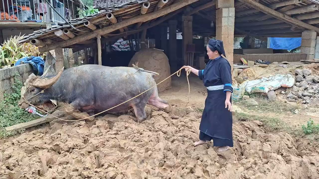 LÀM NGHỀ TRUYỀN THỐNG NGÓI ÂM DƯƠNG LŨNG RÌ, CAO BẰNG