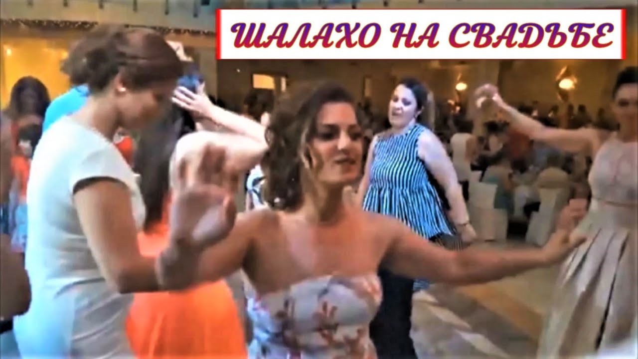 Шалахо на свадьбе -Shalaxo🔥potpourri 6/8 LIVE - Alexandros Pavlidis - Music video By KORG MAGia