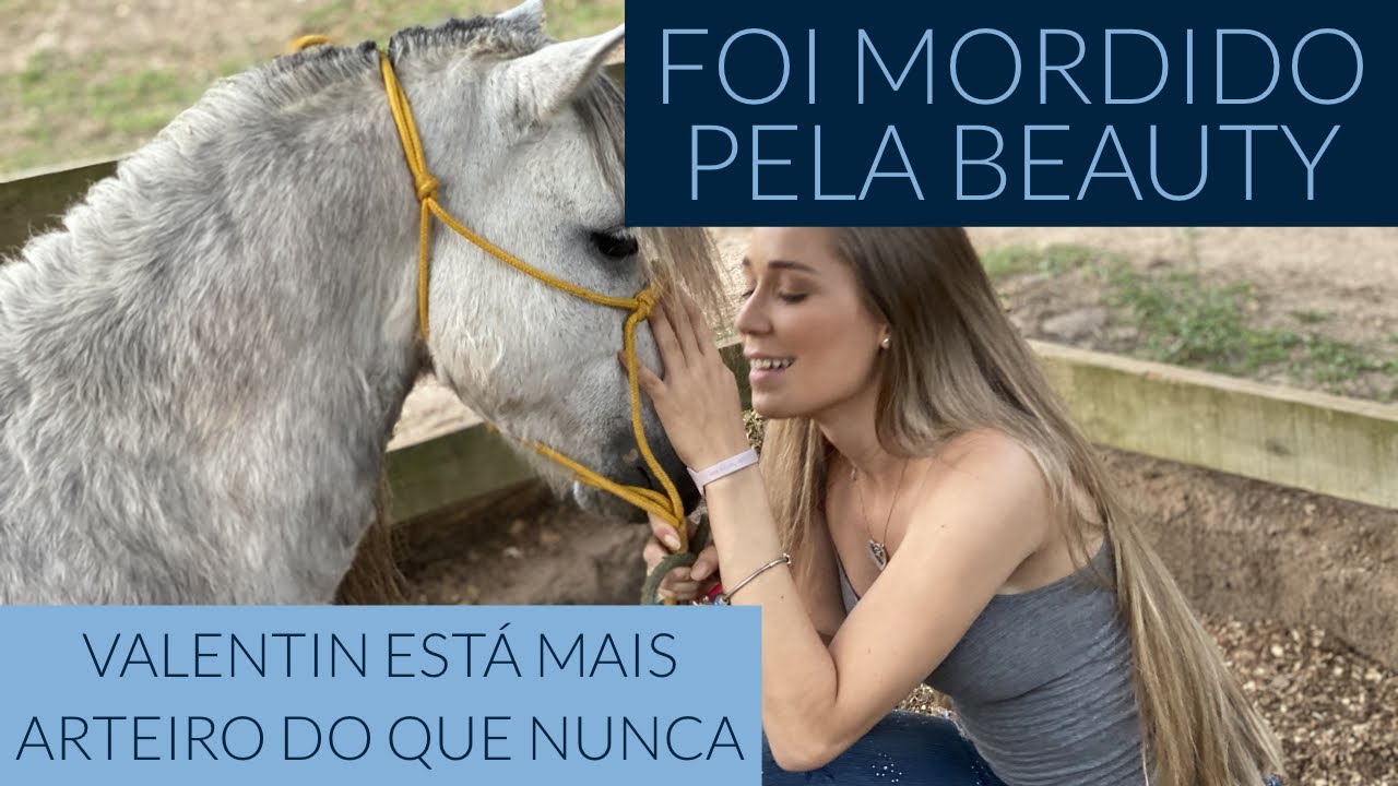 VALENTIN: ELE QUASE ME MATOU DO CORAÇÃO | MUITAS AVENTURAS