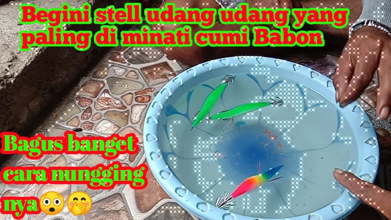 cara stell udang toko yang paling di minati cumi Babon ll squid jig, (@Bundre Adi prof,mancing timur