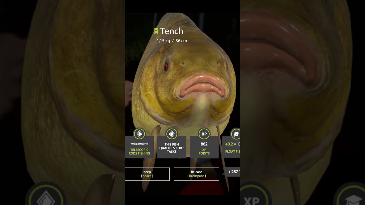 Tench Catch at Night – Peaceful Float Fishing on Mosquito Lake | Tinca tinca 2025 🐟🐟