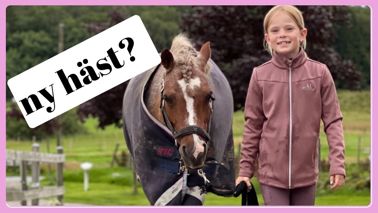 Skaffa fler hästar? - VLOGG