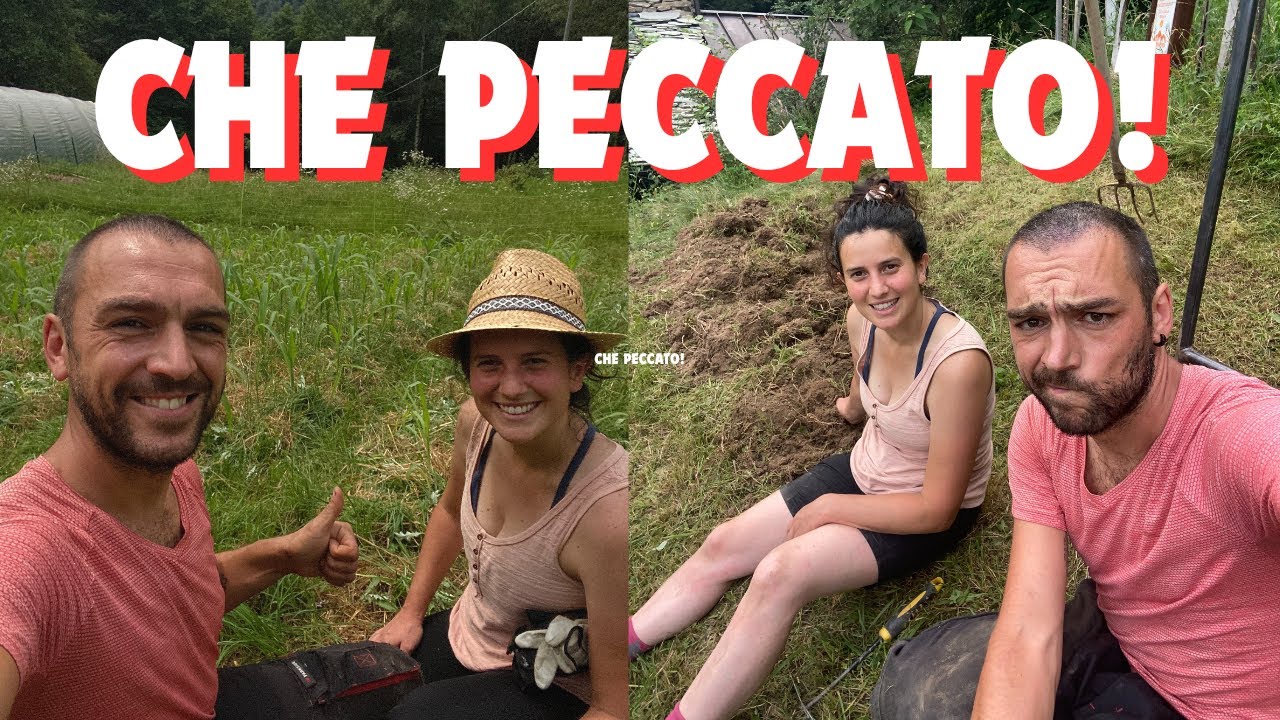 Ma dove sono finiti? Era troppo bello per esser vero! - Ep. 565 - Vivere in Montagna