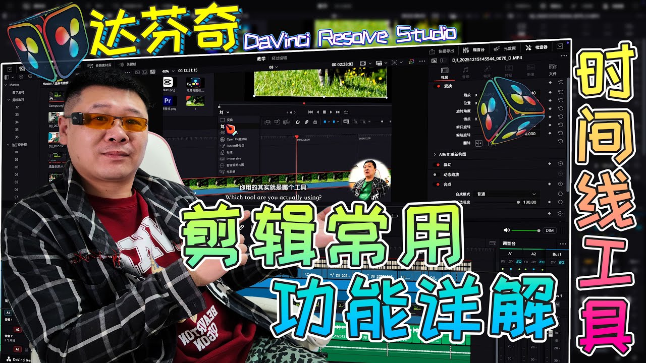 【达芬奇】时间线工具详解