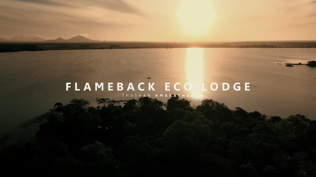FLAMEBACK ECO LODGE | SRI LANKA