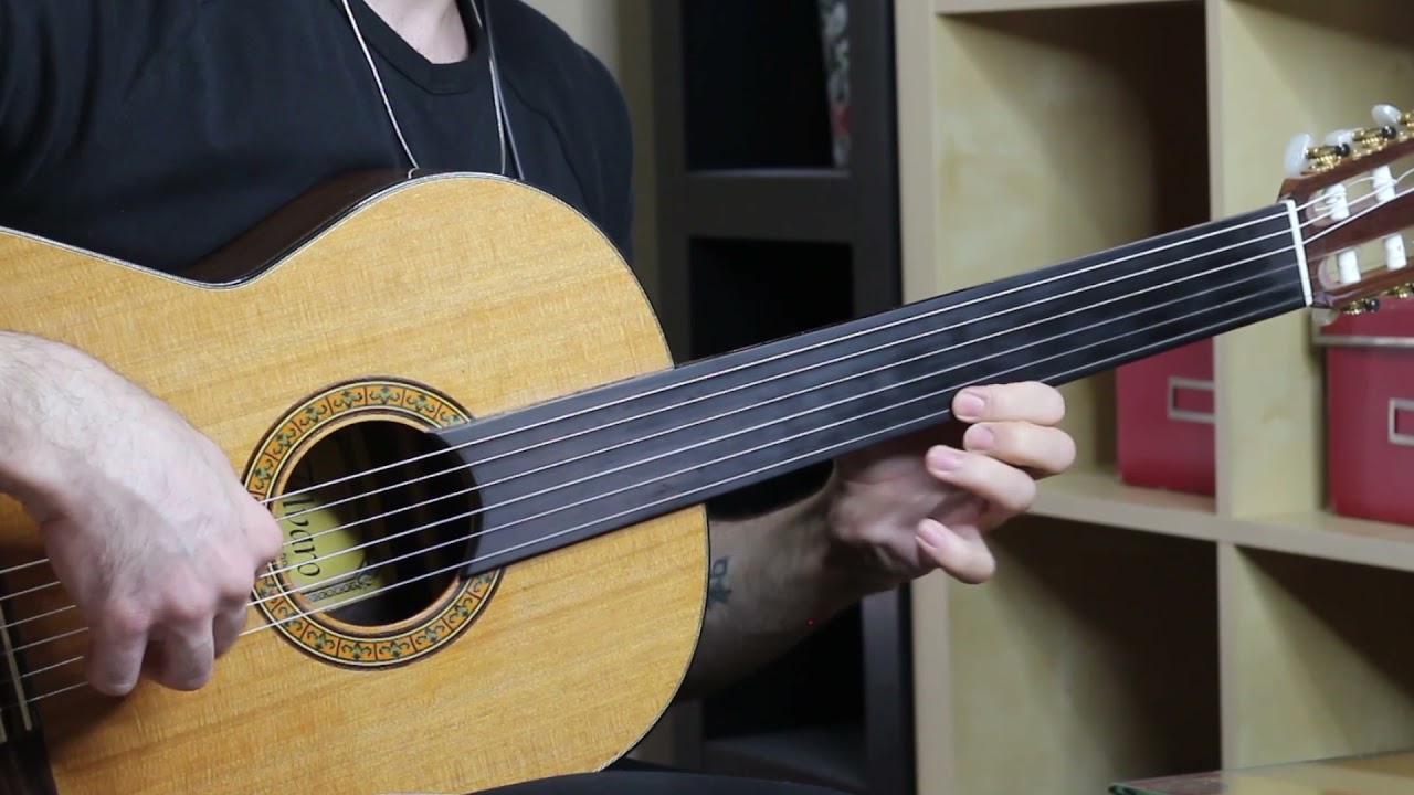 Leyla - Neşet Ertaş ( Perdesiz Gitar)