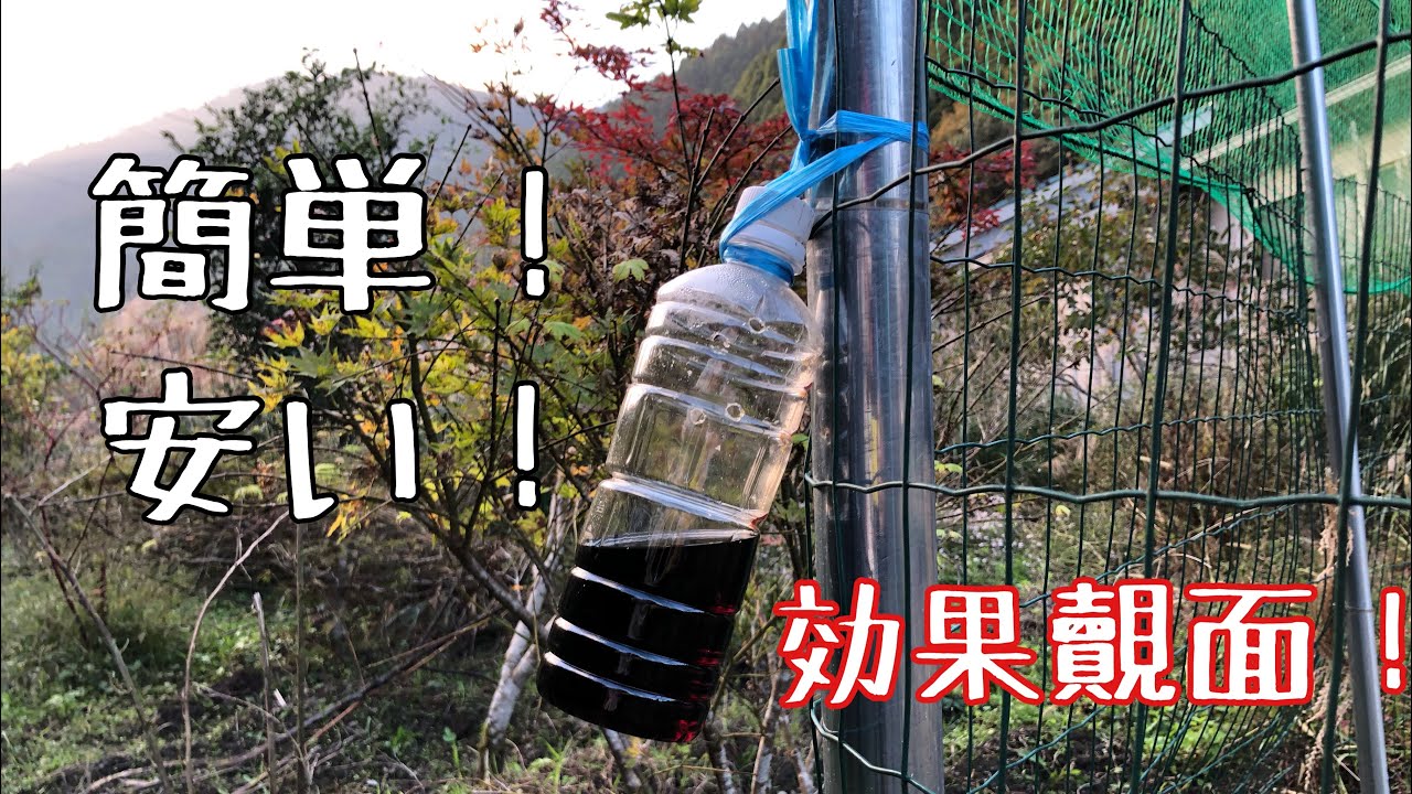 最新のイノシシ対策が凄かった【劇薬です　概要欄をお読みください】