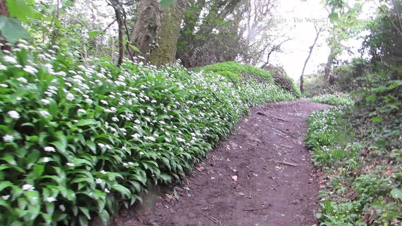 Walk from Readymoney Beach to St Catherine's Castle in Fowey Cornwall in the Rain